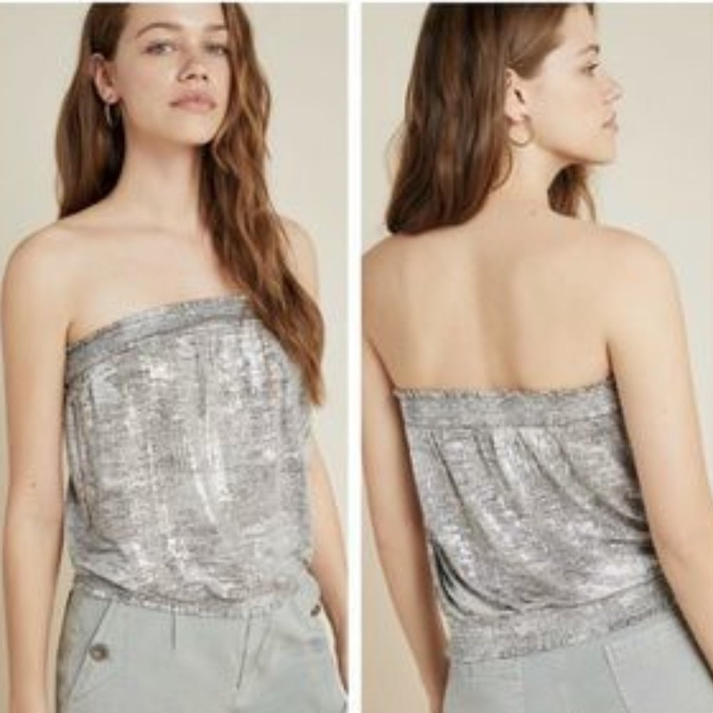 Silver Shimmer Shine  - Anthropologie Tube Top - Picture 8 of 9